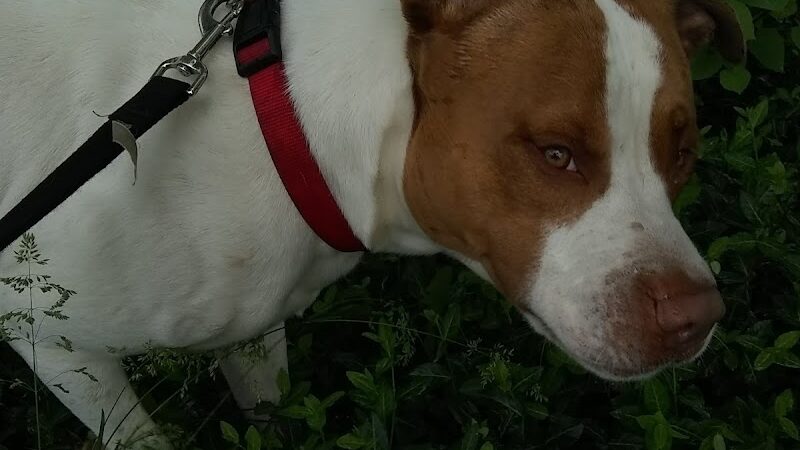 Glenway Park - Cincinnati, OH