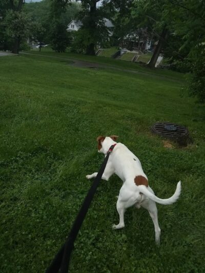 Glenway Park - Cincinnati, OH