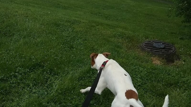 Glenway Park - Cincinnati, OH