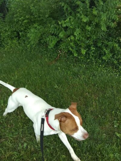 Glenway Park - Cincinnati, OH