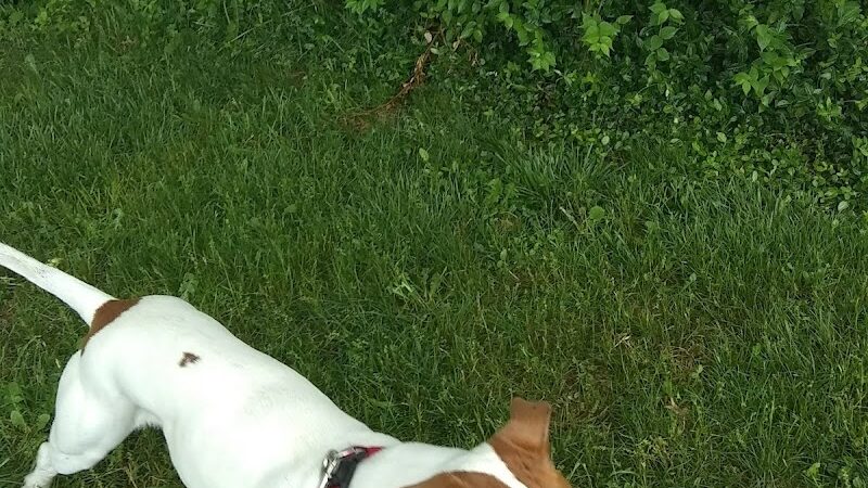 Glenway Park - Cincinnati, OH