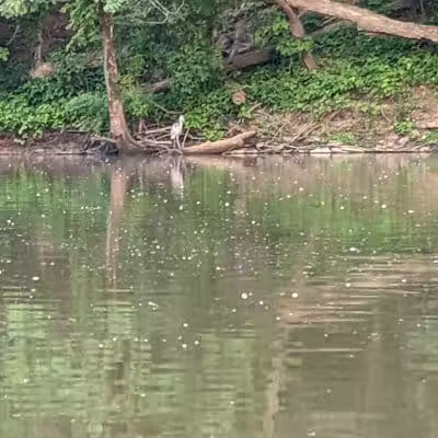 Great Parks of Hamilton County - Cincinnati, OH