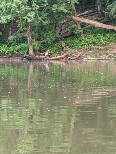 Great Parks of Hamilton County - Cincinnati, OH