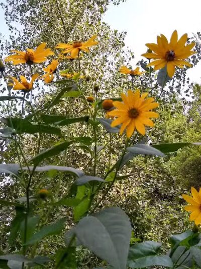 Heritage Park - Cincinnati, OH