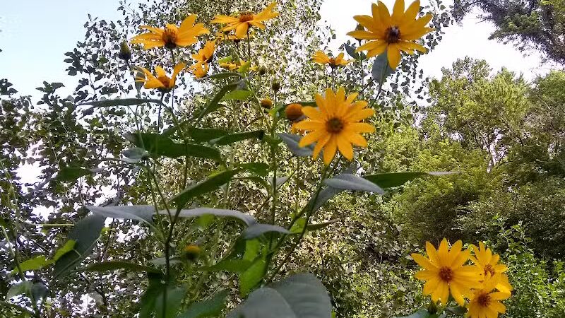 Heritage Park - Cincinnati, OH