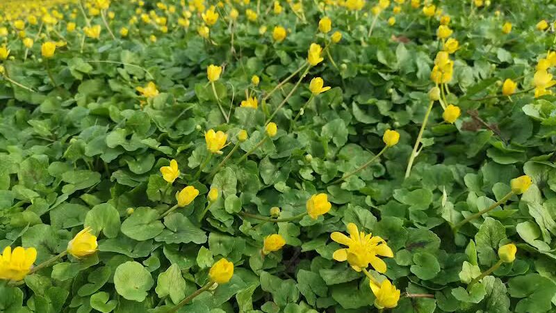 Heritage Park - Cincinnati, OH