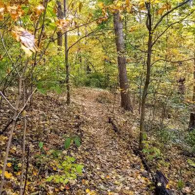 Hillside Park - Cincinnati, OH