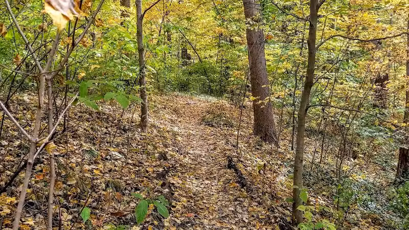 Hillside Park - Cincinnati, OH