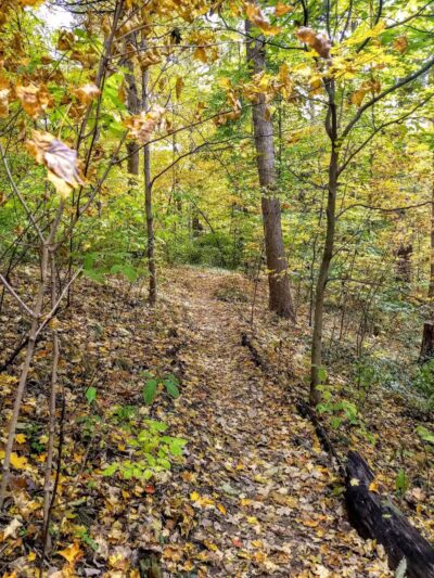 Hillside Park - Cincinnati, OH
