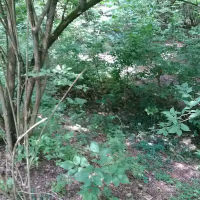 Hillside Park - Cincinnati, OH