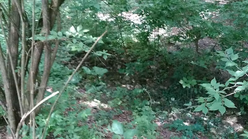 Hillside Park - Cincinnati, OH