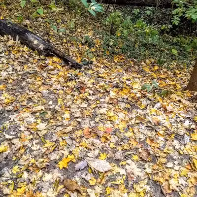 Hillside Park - Cincinnati, OH