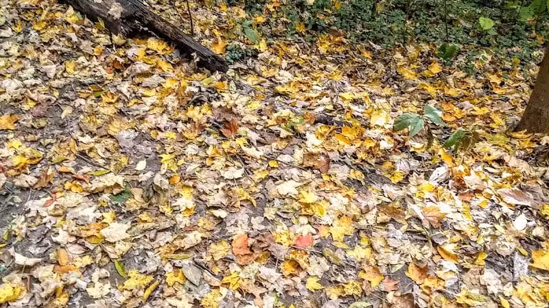 Hillside Park - Cincinnati, OH