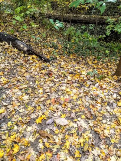 Hillside Park - Cincinnati, OH