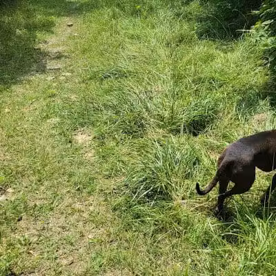 Hillside Park - Cincinnati, OH