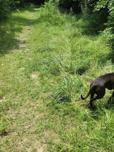 Hillside Park - Cincinnati, OH