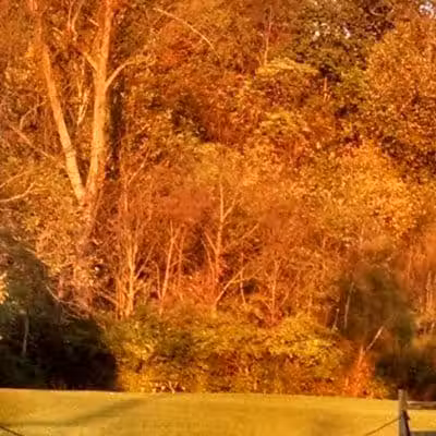 Hillside Park - Cincinnati, OH
