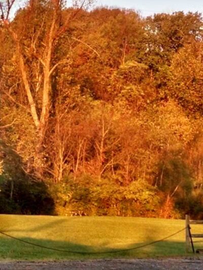 Hillside Park - Cincinnati, OH