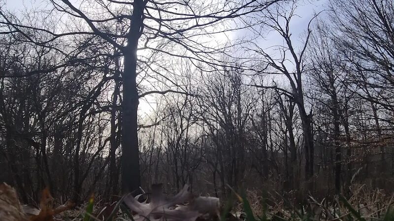 Hopkins Park - Cincinnati, OH