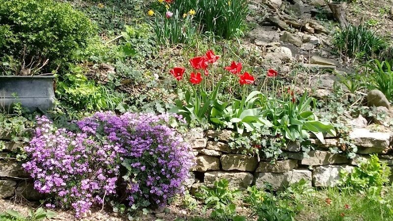 Hopkins Park - Cincinnati, OH