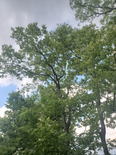 Hunt Park - Cincinnati, OH