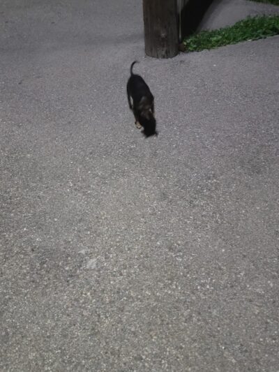 Hunt Park - Cincinnati, OH