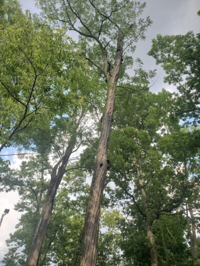 Hunt Park - Cincinnati, OH