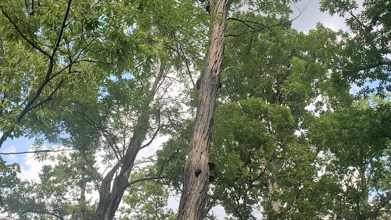 Hunt Park - Cincinnati, OH