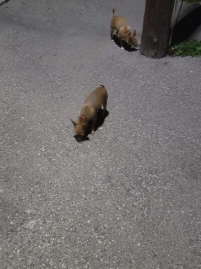 Hunt Park - Cincinnati, OH