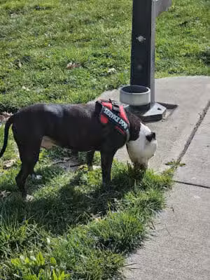 Inwood Park - Cincinnati, OH