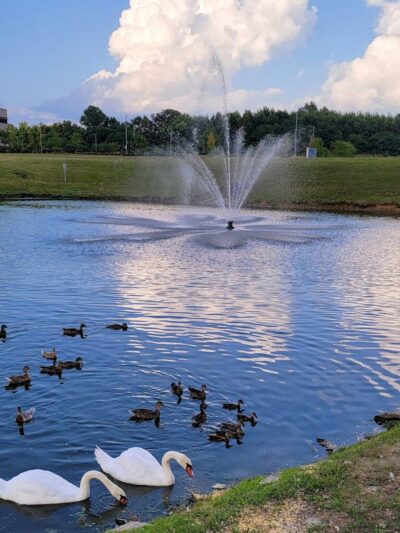 Ivy Pointe Park - Cincinnati, OH
