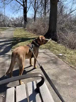 Jackson Hill Park - Cincinnati, OH