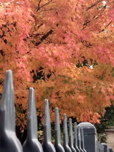 Jergens Park - Cincinnati, OH