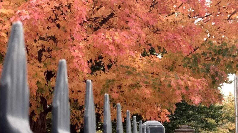 Jergens Park - Cincinnati, OH