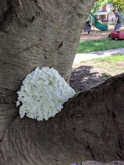 Jergens Park - Cincinnati, OH