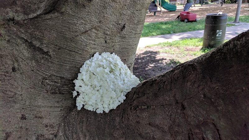 Jergens Park - Cincinnati, OH