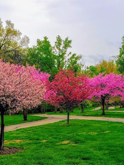 Juilfs Park - Cincinnati, OH