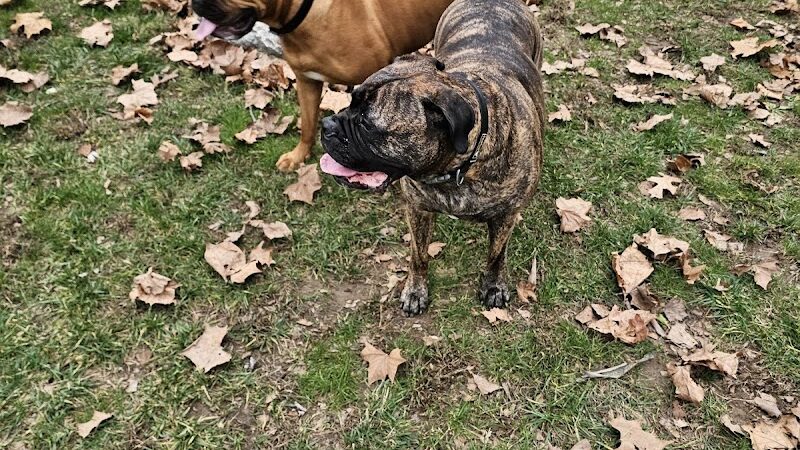 Kellogg Park & Dog Field - Cincinnati, OH