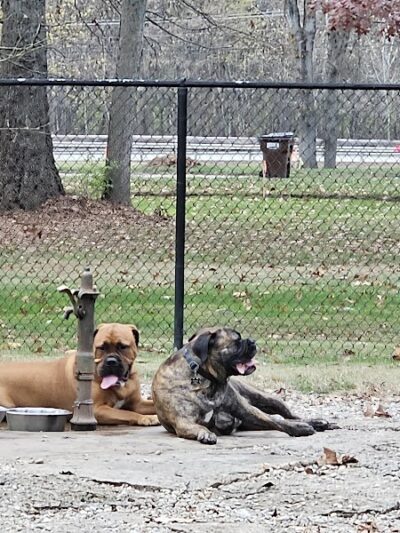 Kellogg Park & Dog Field - Cincinnati, OH