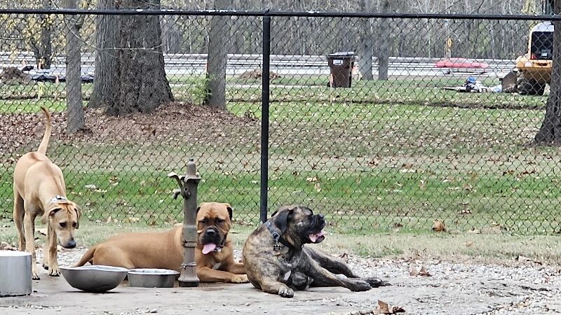 Kellogg Park & Dog Field - Cincinnati, OH