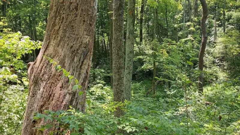 LaBoiteaux Woods Nature Center - Cincinnati, OH