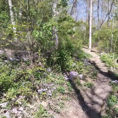 LaBoiteaux Woods Nature Center - Cincinnati, OH