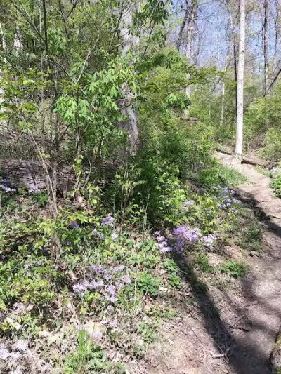 LaBoiteaux Woods Nature Center - Cincinnati, OH