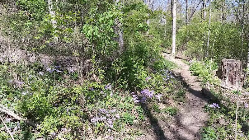 LaBoiteaux Woods Nature Center - Cincinnati, OH