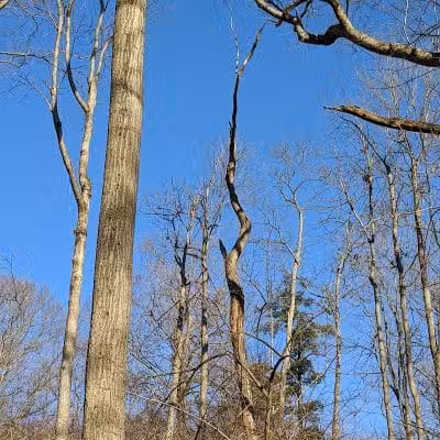 LaBoiteaux Woods Nature Center - Cincinnati, OH