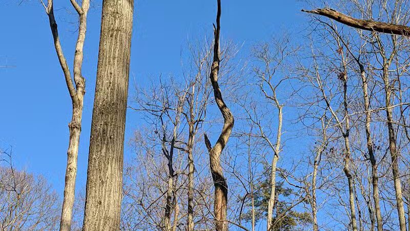 LaBoiteaux Woods Nature Center - Cincinnati, OH