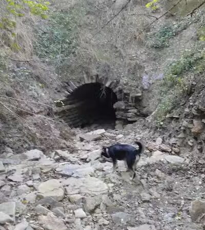 LaBoiteaux Woods Nature Center - Cincinnati, OH