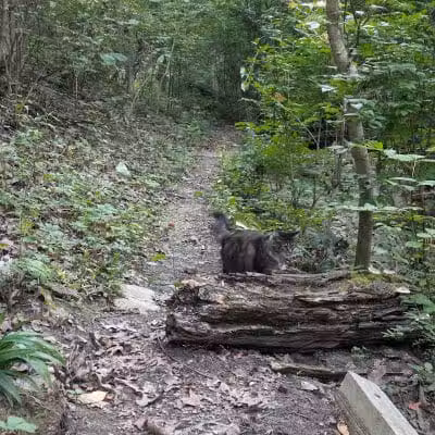 LaBoiteaux Woods Nature Center - Cincinnati, OH