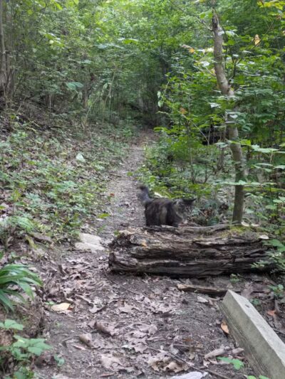 LaBoiteaux Woods Nature Center - Cincinnati, OH