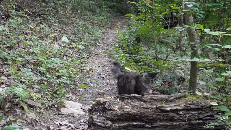 LaBoiteaux Woods Nature Center - Cincinnati, OH